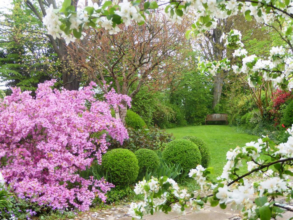 La Casa Del Giardiniere Villa Zero Branco Екстериор снимка